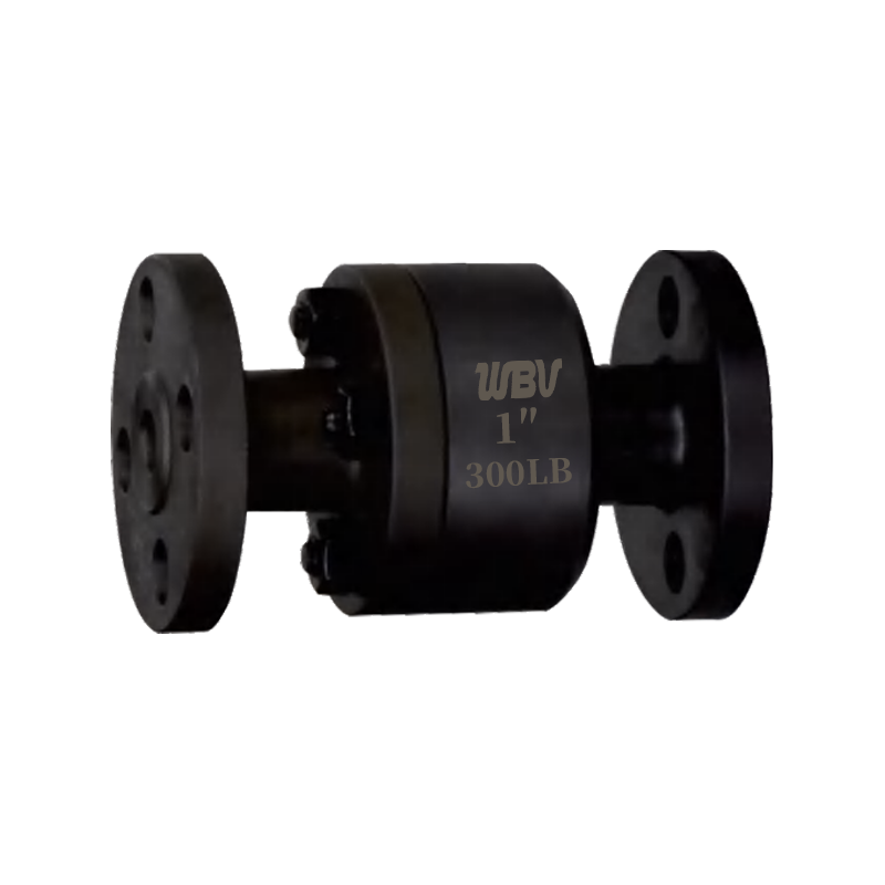 美标锻钢法兰立式止回阀 H42H